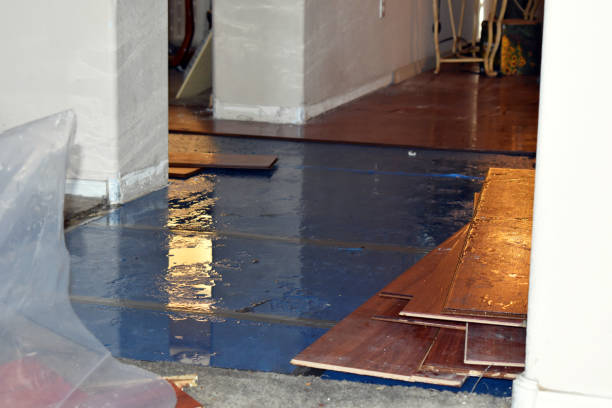 Professional Burst Pipe Water Damage technician working in Shawnee, KS